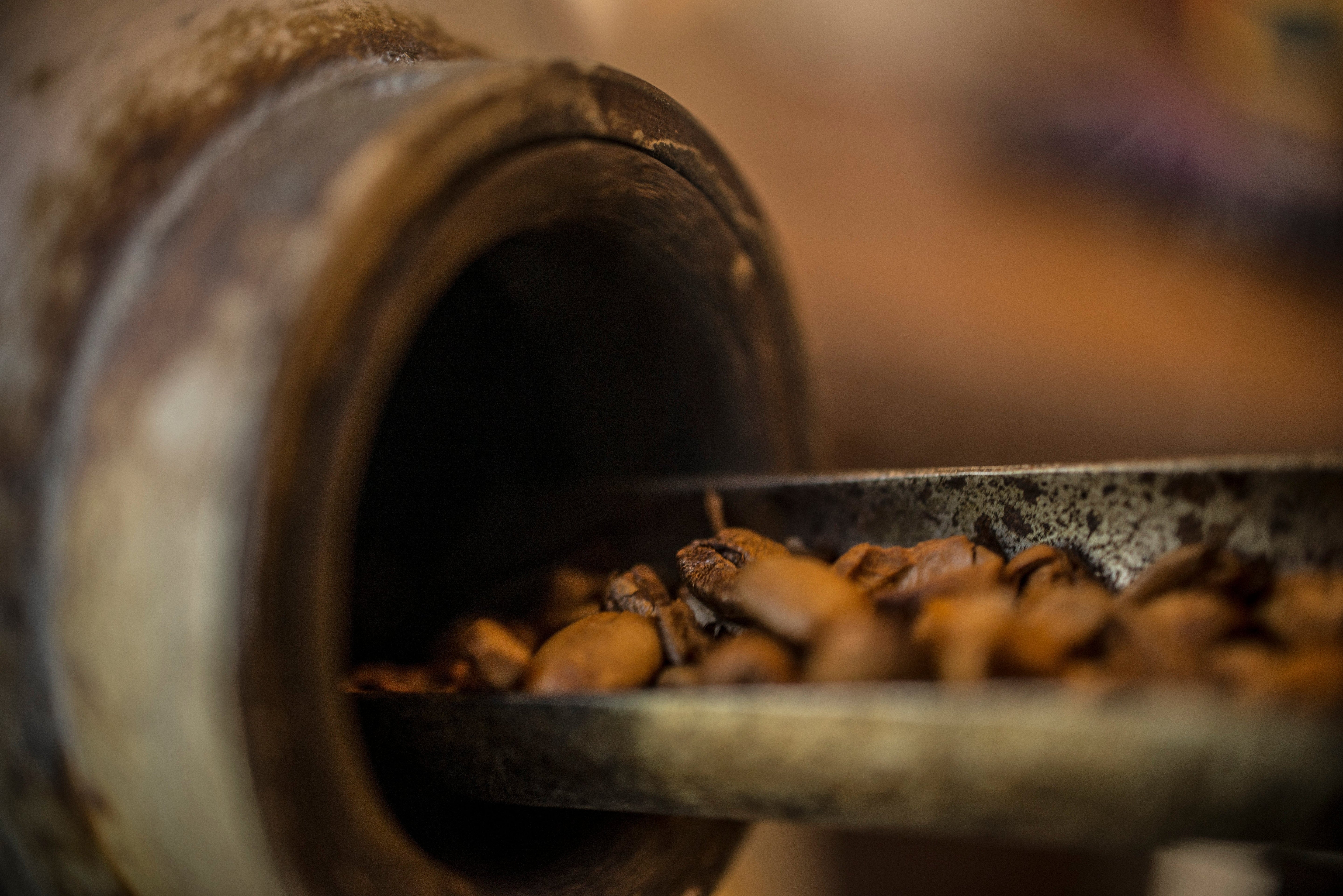 Amostra de café torrado