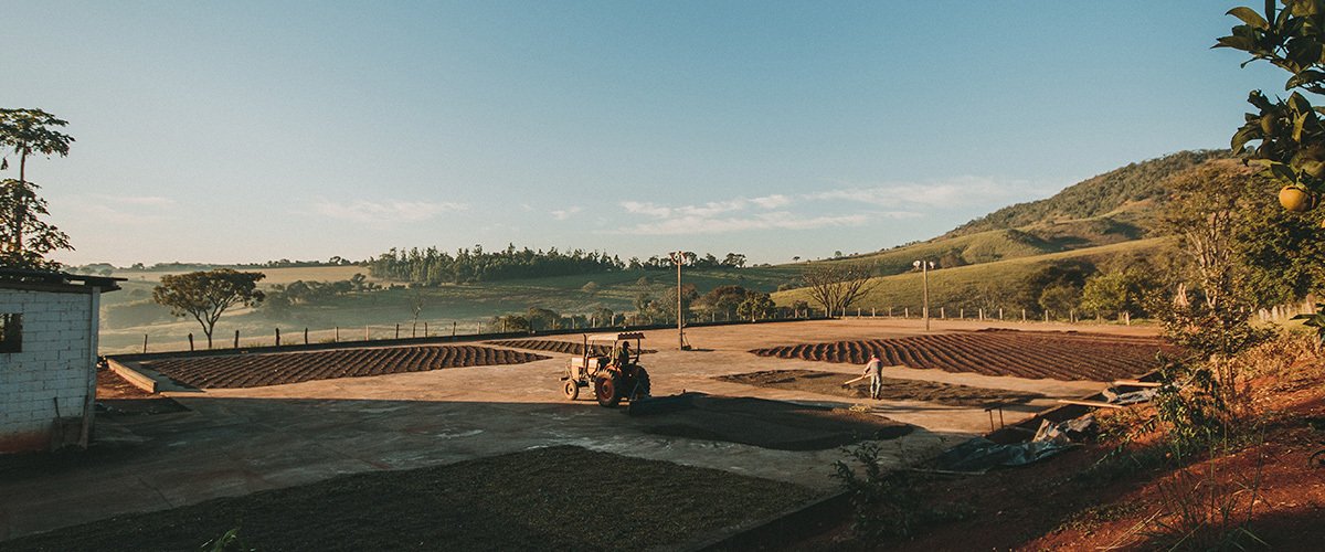 fazenda-de-café-com-trator-no-centro