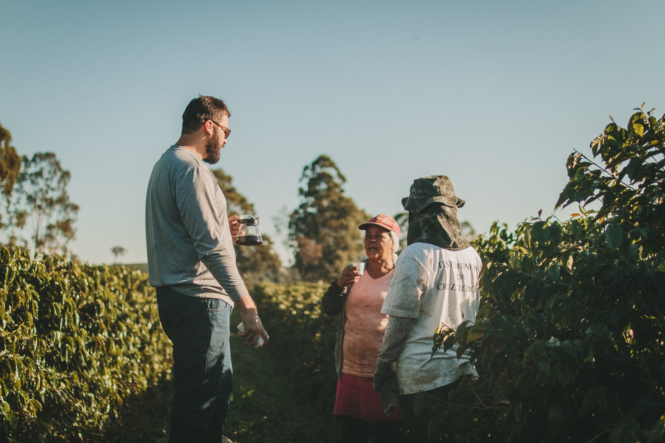 pessoas conversando no meio da plantação de café