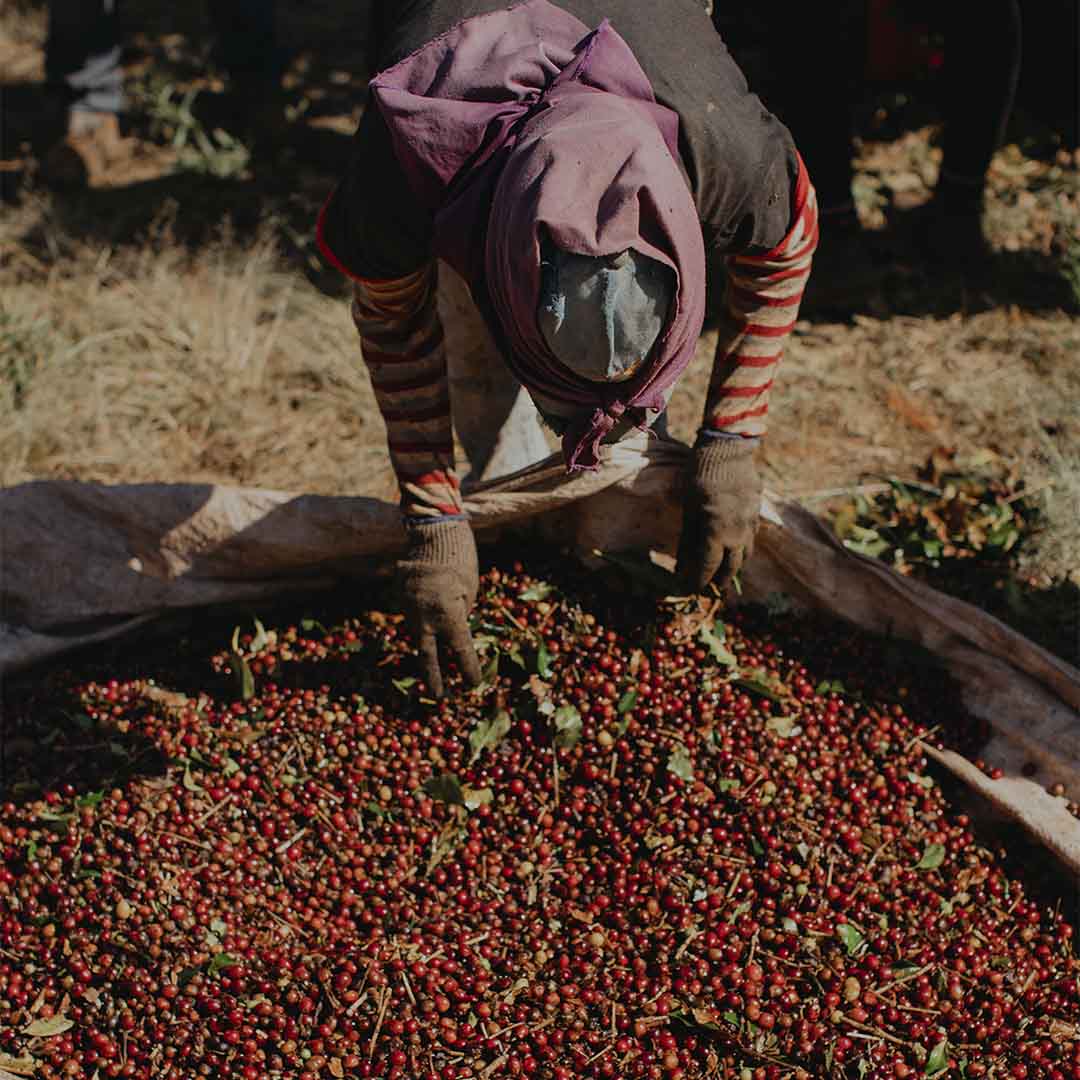 Kit Café Variedades