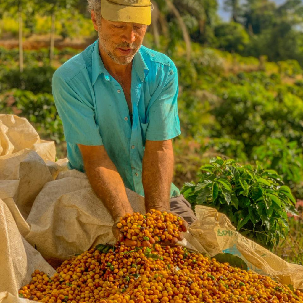 Café Sítio Alto da Serra 250g
