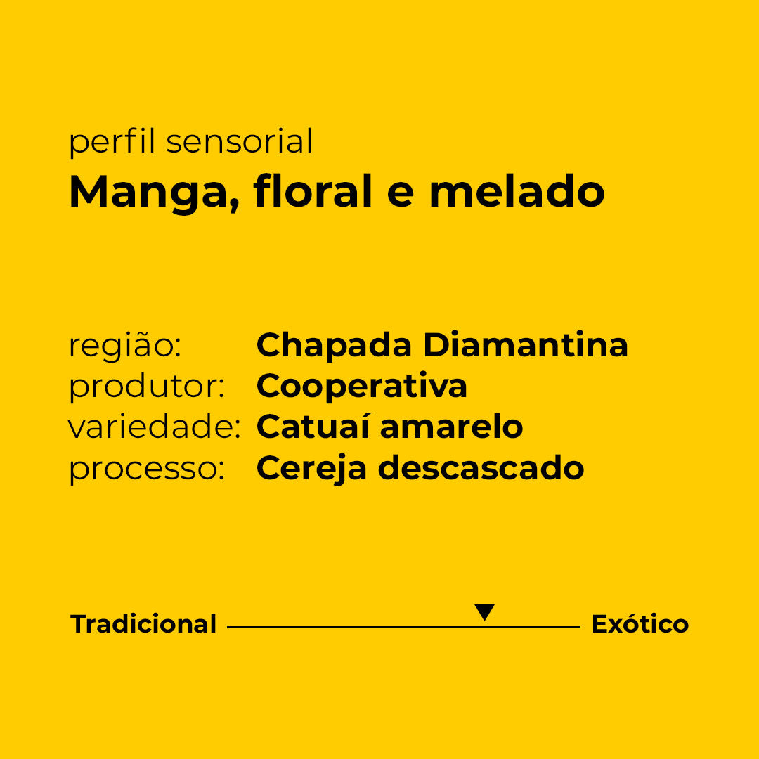 Café Coopiatã Bahia 1kg