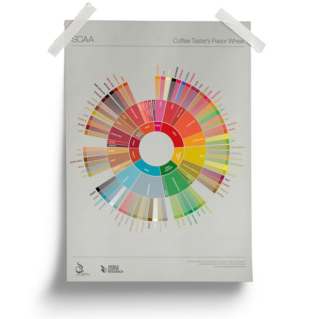 Curso de Análise Sensorial de Cafés - CURITIBA