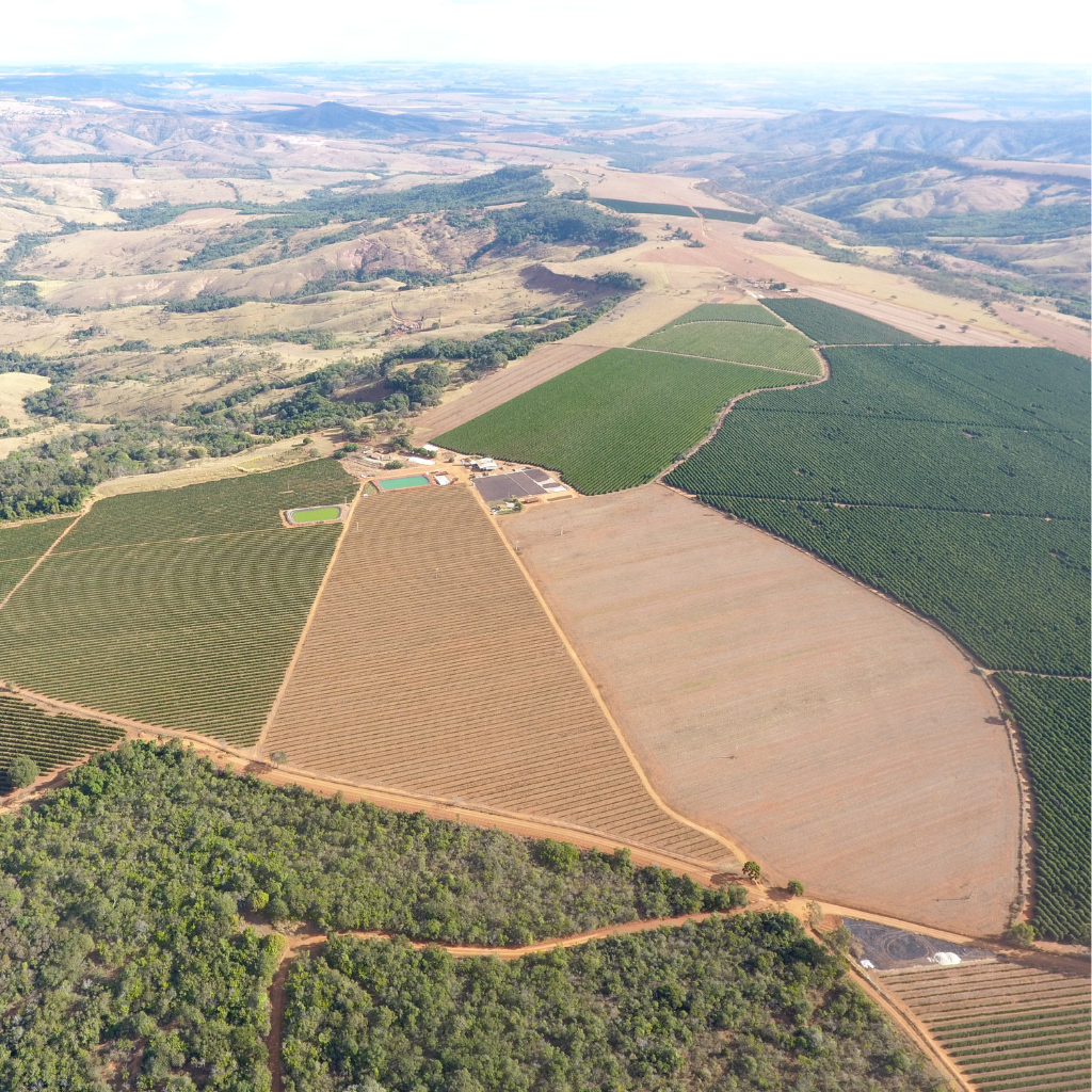 Visão aérea plantação de café Cerrado Mineiro