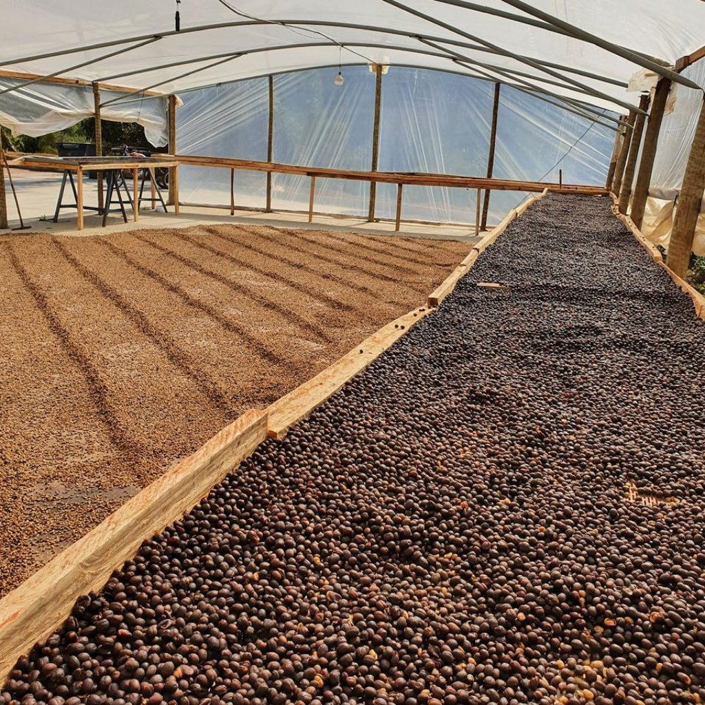 Café Sítio Alto da Serra 250g