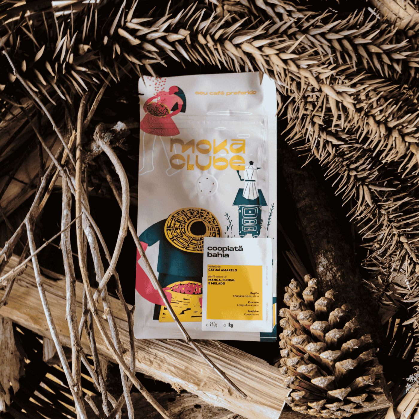 Café Coopiatã Bahia 1kg
