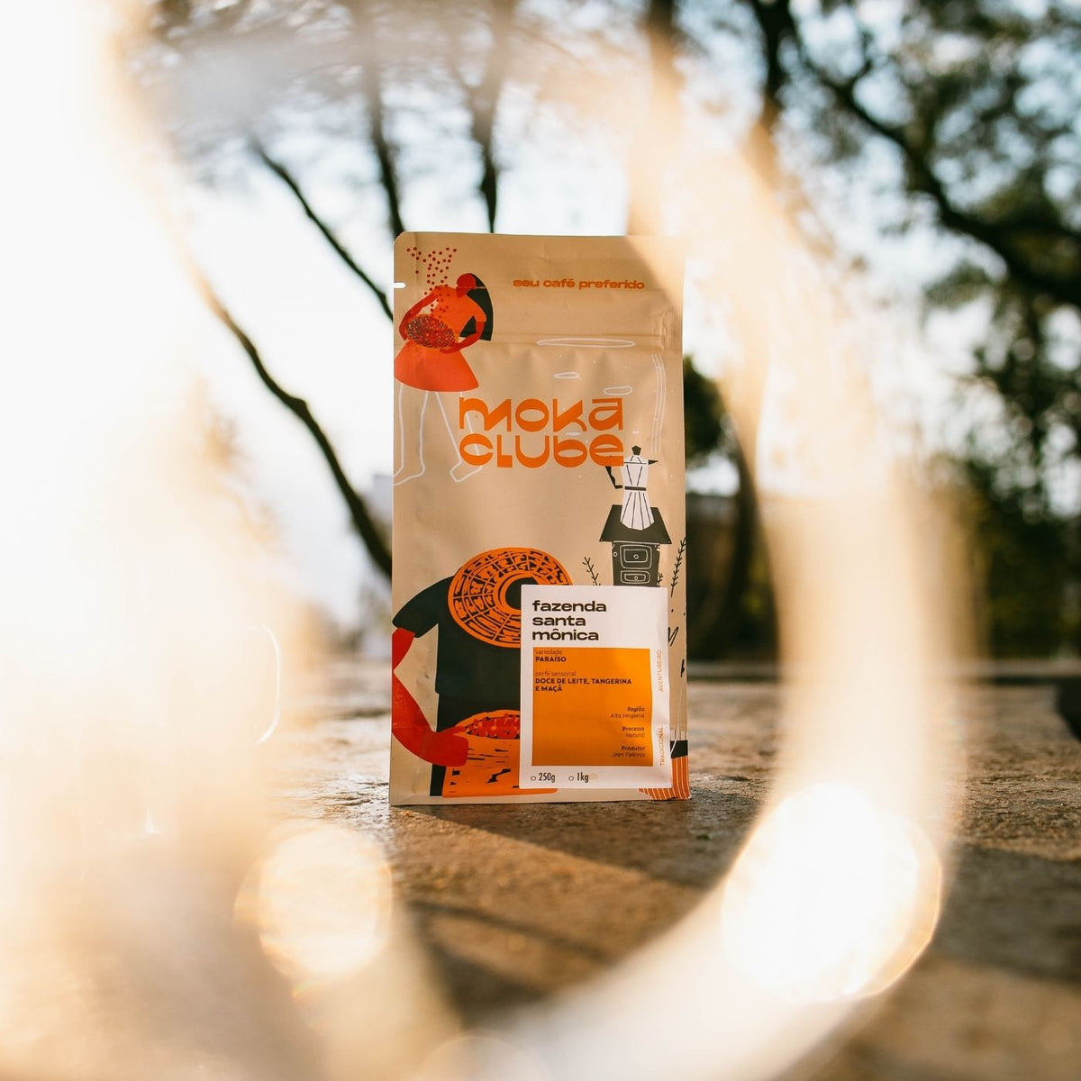 Café Fazenda Santa Mônica 1kg
