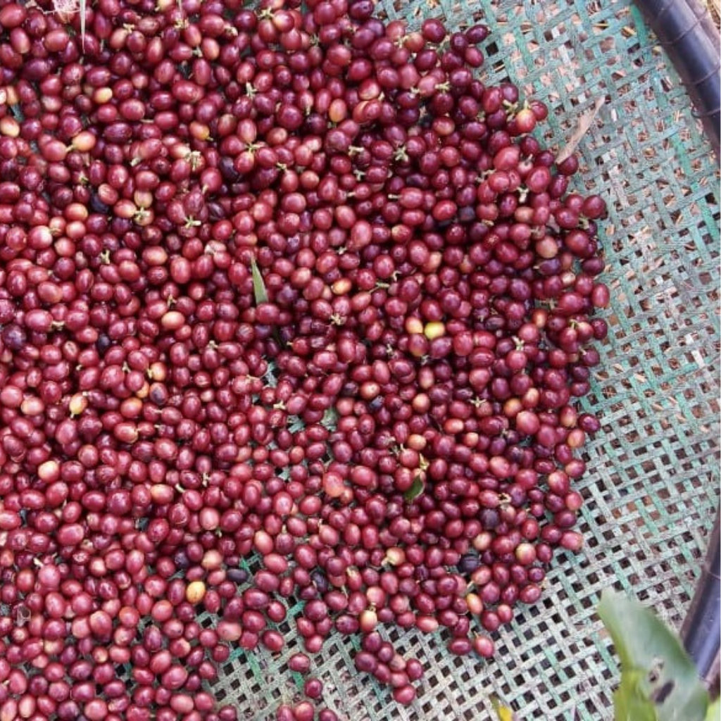 Café Sítio Flor do Bagaço 250g