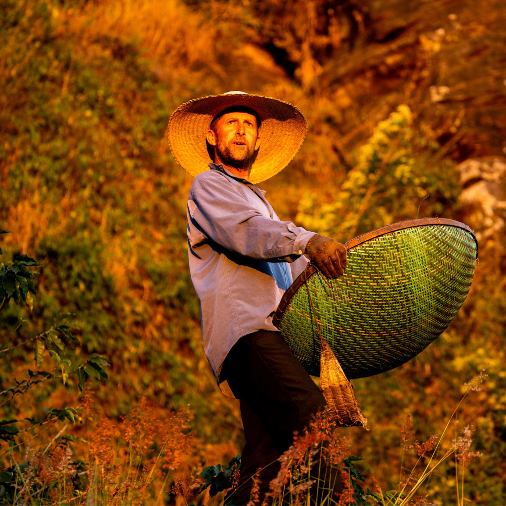 Café Sítio Grod Stein