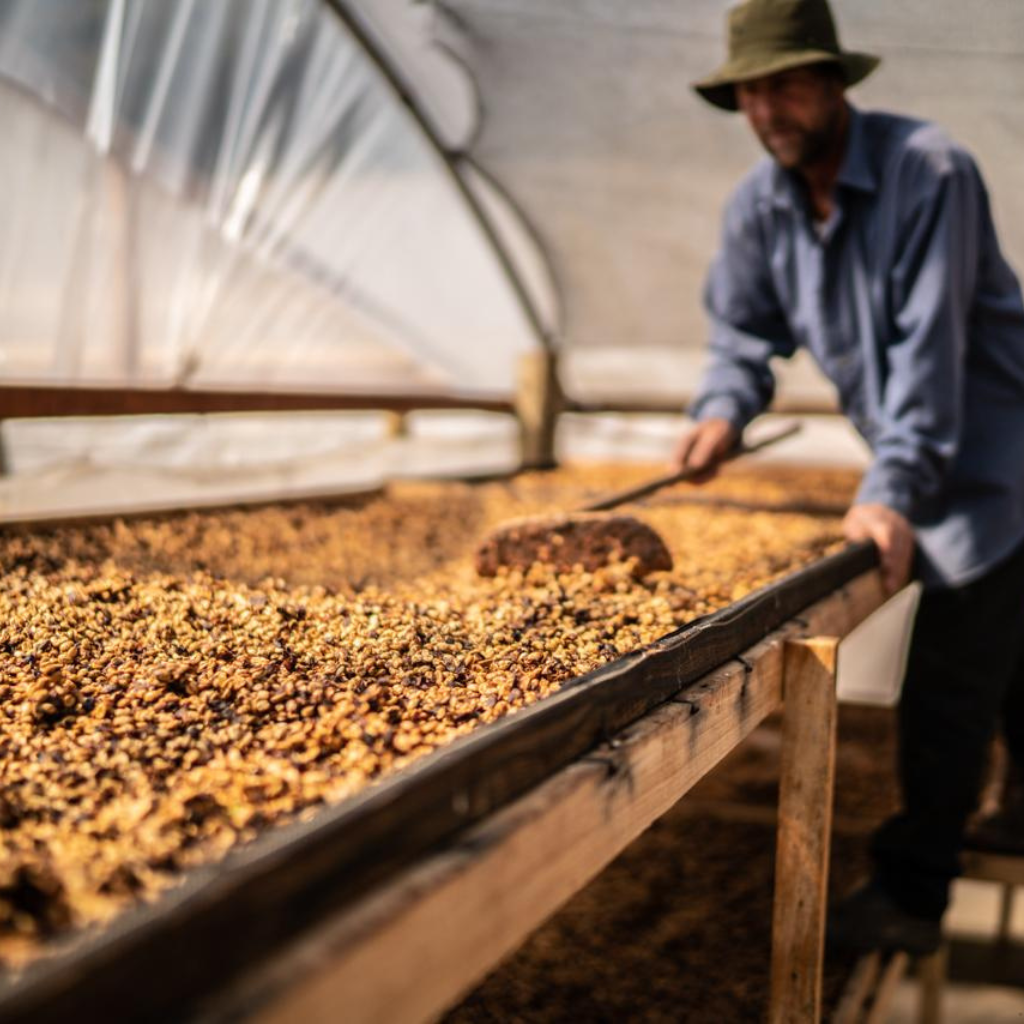 Café Sítio Grod Stein