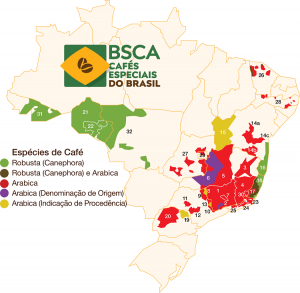 Mapa do Brasil com alguns estados destacados
