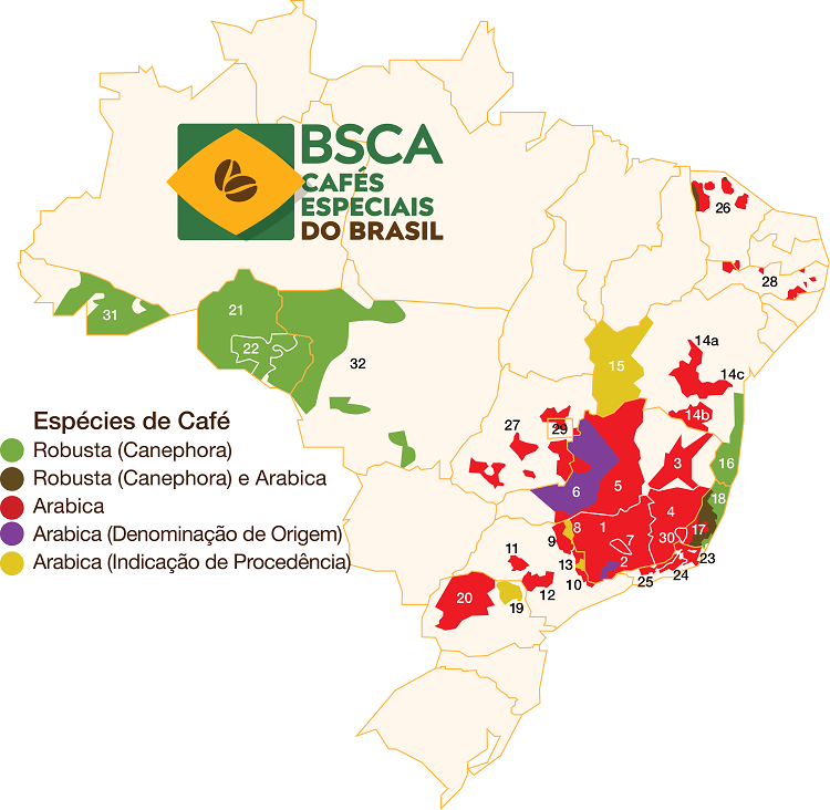 Descubra qual é o melhor café do Brasil na categoria Via Seca de 2023;  confira o preço - Estadão