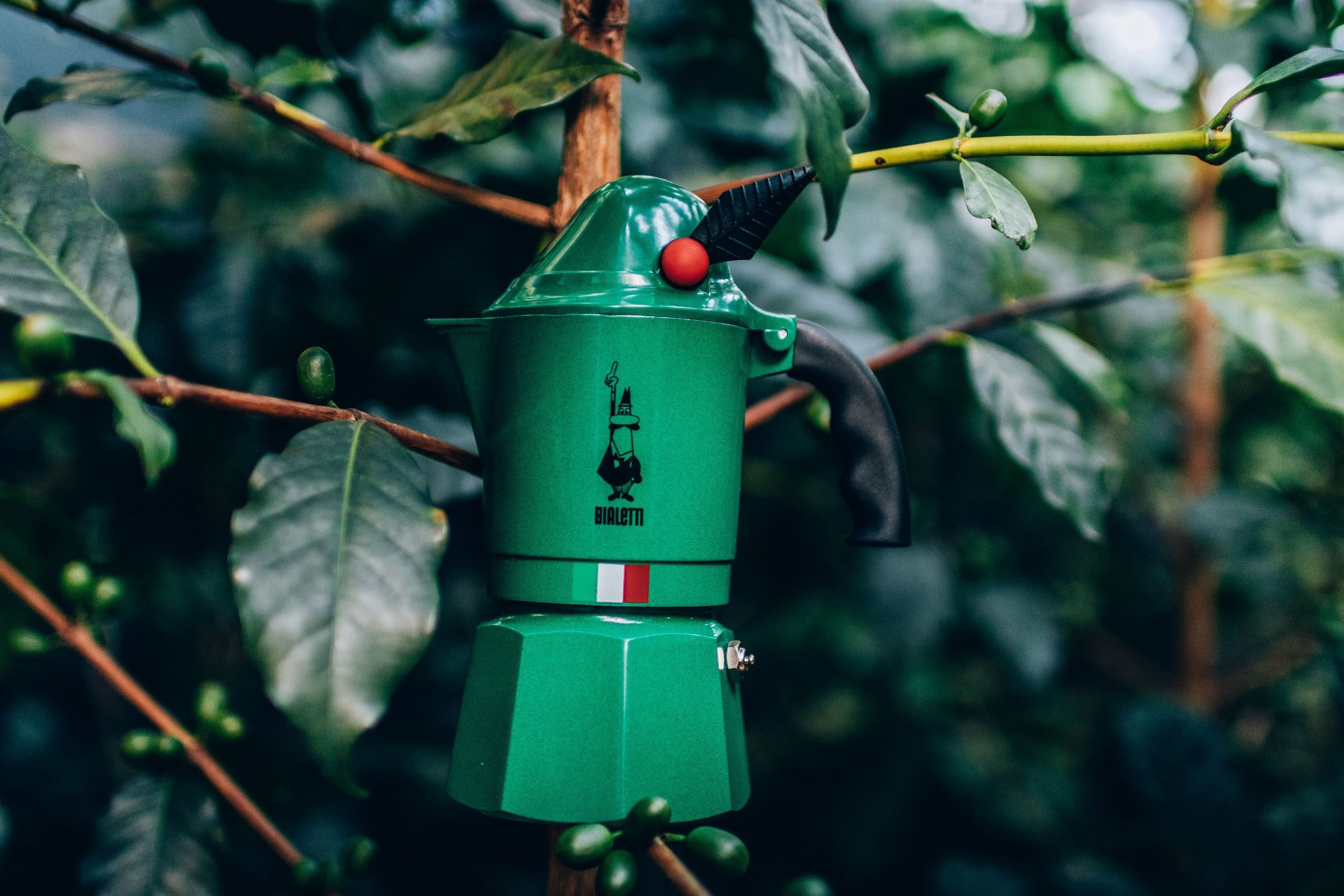 Um dos tipos de cafeteira italiana na cor verde.