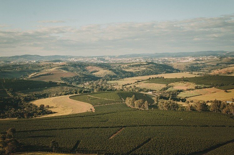 Paisagem ampla com montanhas e plantações de café.